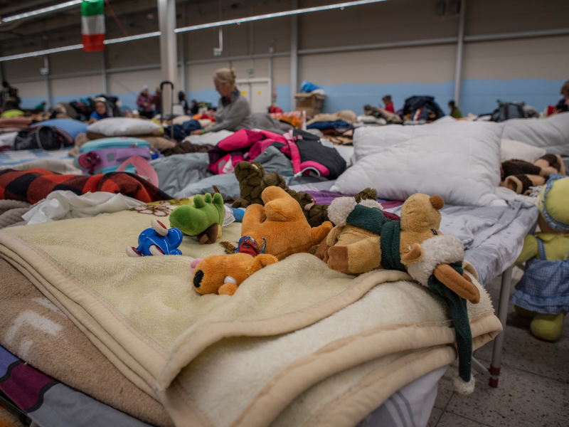 small stuff toys on top of a bed in a hall full of refugees