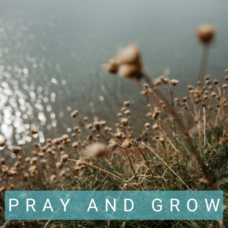 pray and grow